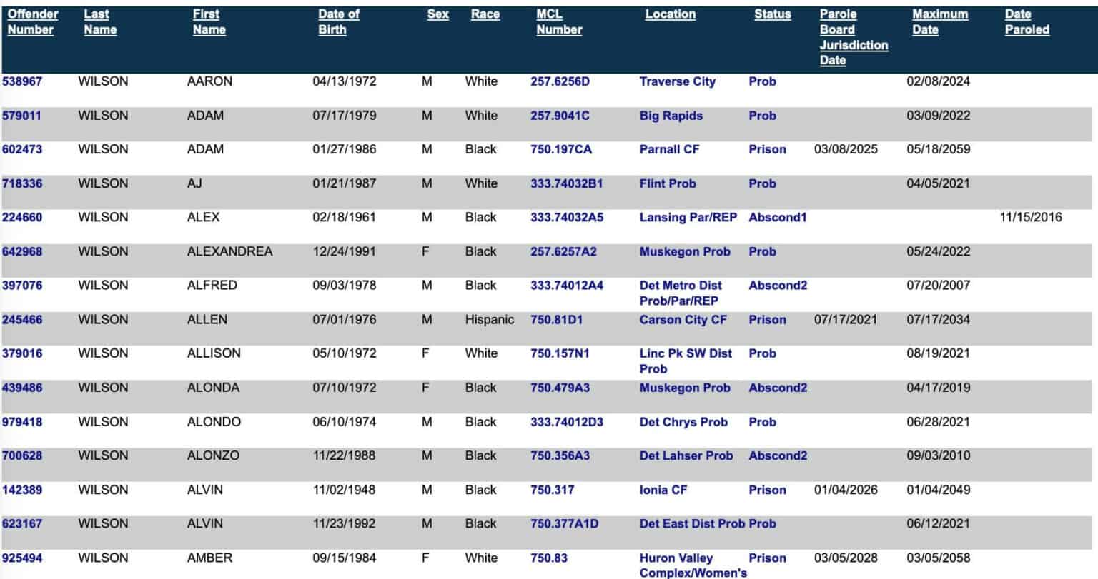 Inmate Search Michigan – The Ultimate Guide - 2024 - Public Records Search