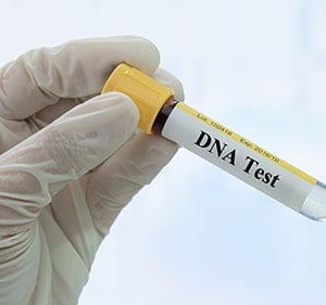 Best DNA Test For Asians - Banner Image