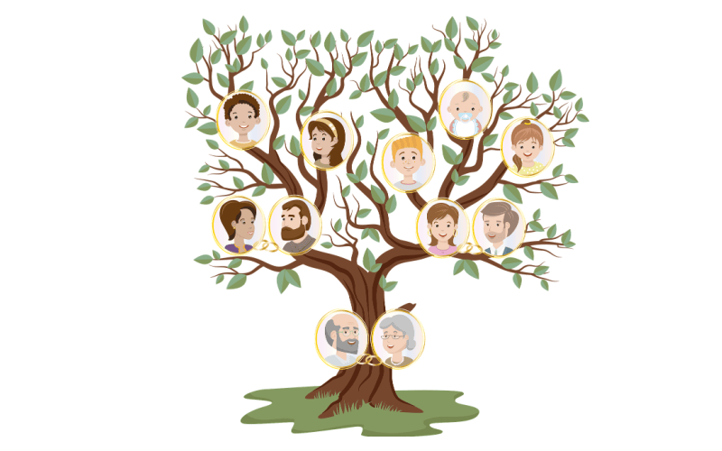 How to Start a Family Tree Chart