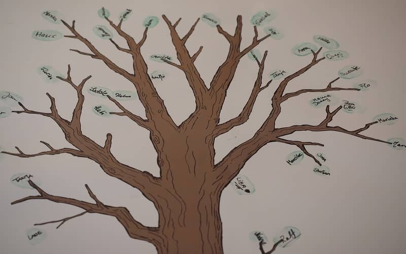 FINDING YOUR FAMILY TREE: A Beginner's Guide to Researching Your Genealogy  