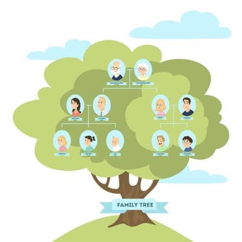 DNA Testing and Family Trees