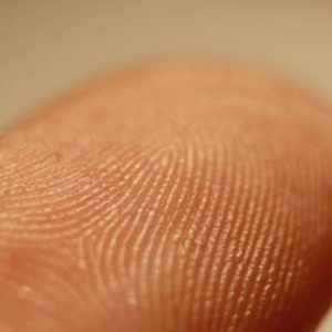 Guide to DNA Fingerprinting