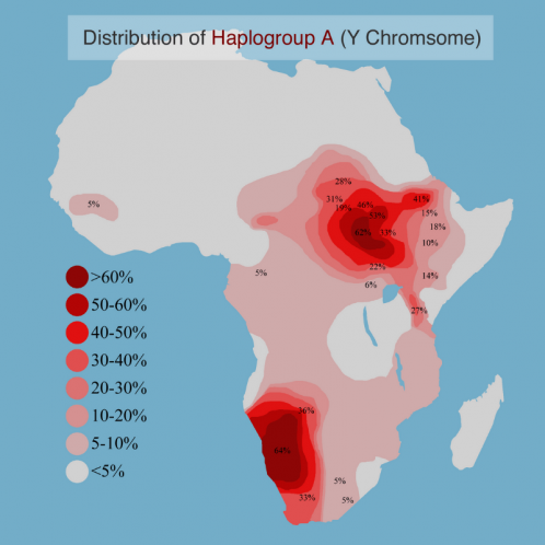 Oldest Haplogroups