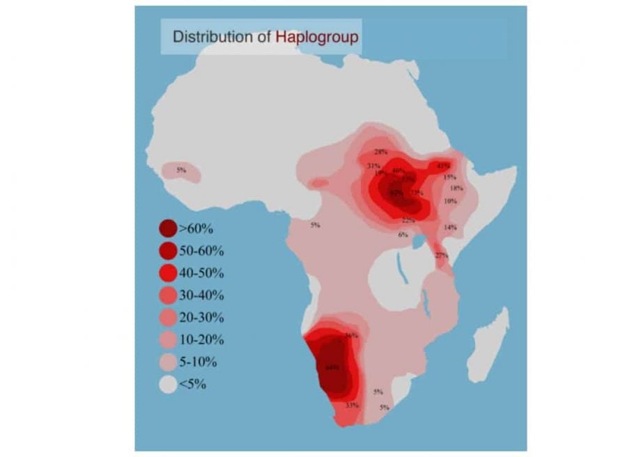 What-Are-Haplogroups-5.jpg