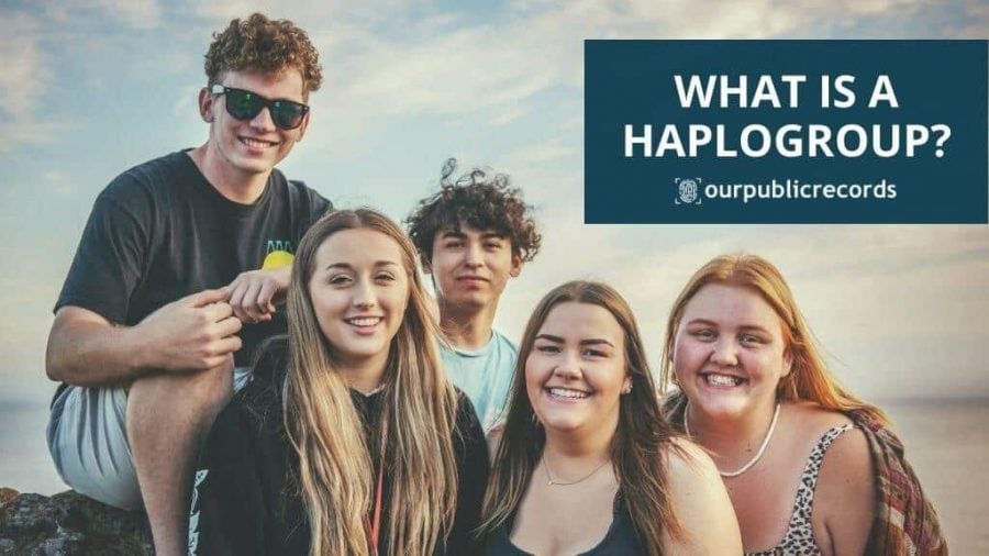 What is a Haplogroup