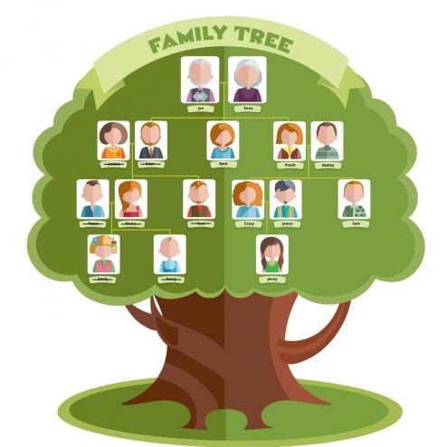 Why are There Blank Spots on Your Family Tree