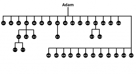 Your Haplogroup Branches - Adam